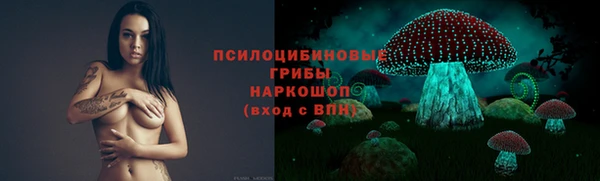 сатива Аркадак