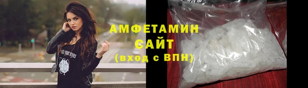 сатива Аркадак