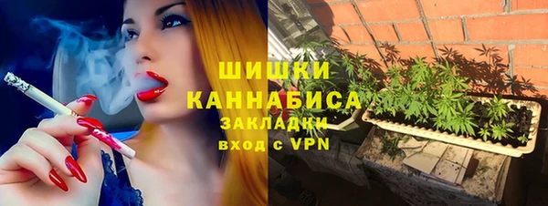 шишки Армянск