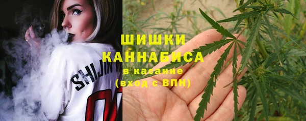 шишки Армянск
